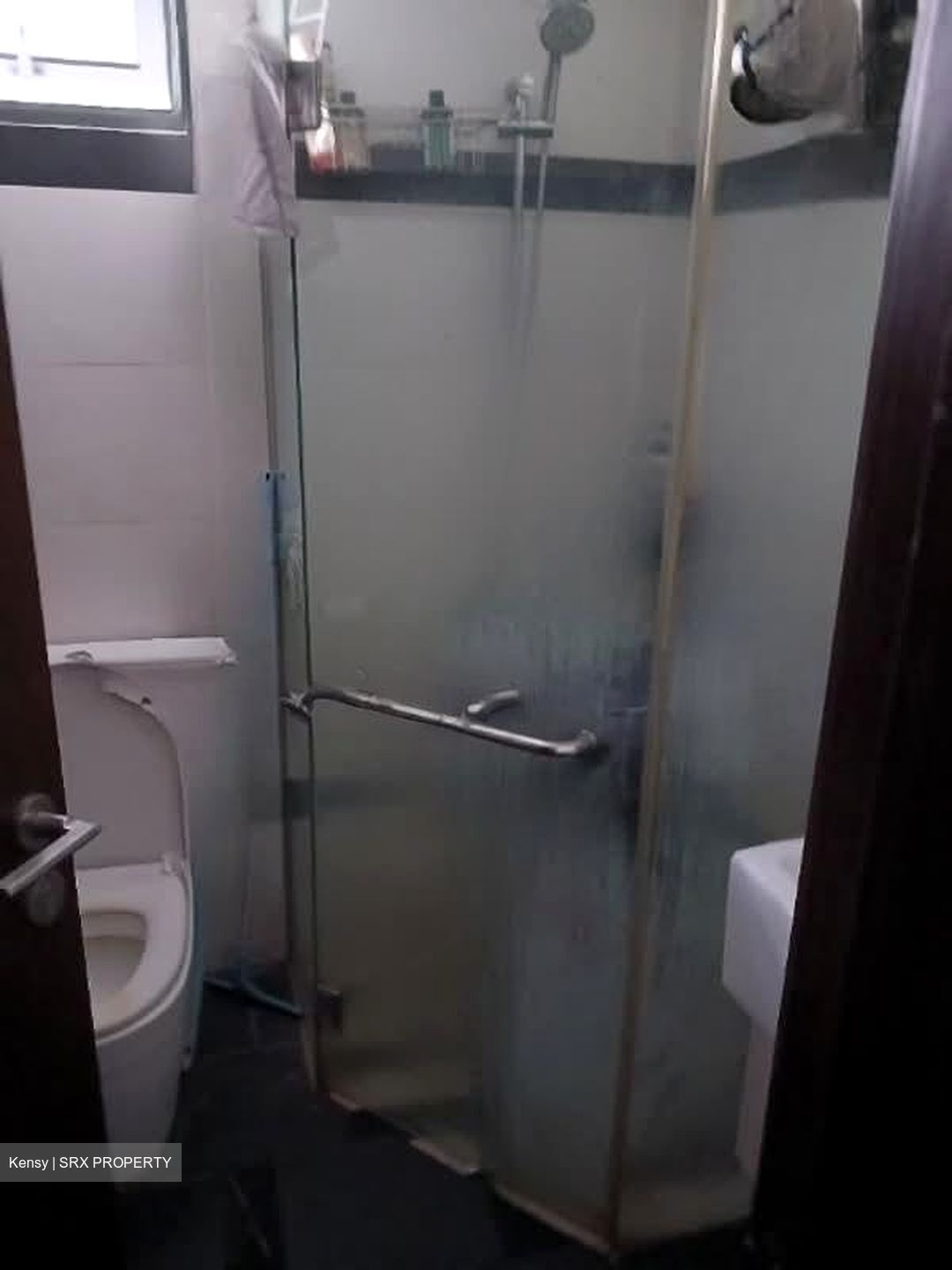 Symphony Suites (D27), Condominium #572438261